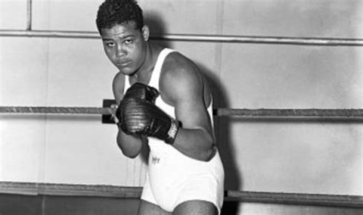 
Brandon Wilson Darwin Height, Weight, Net Worth, Age, Birthday, Wikipedia, Who, Nationality, Biography 