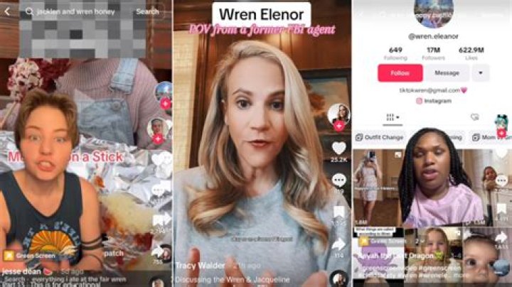 
Who Is Wren Eleanor? Drama On Tiktok And Reddit About Daughter’s Situation 